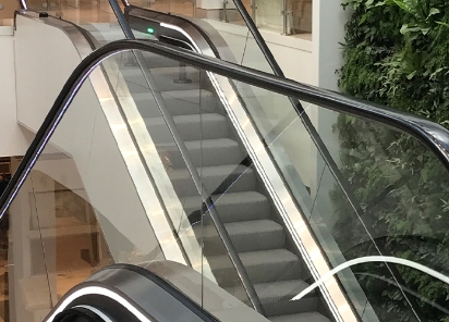 Two escalators indoors adjacent to a wall covered in green plants